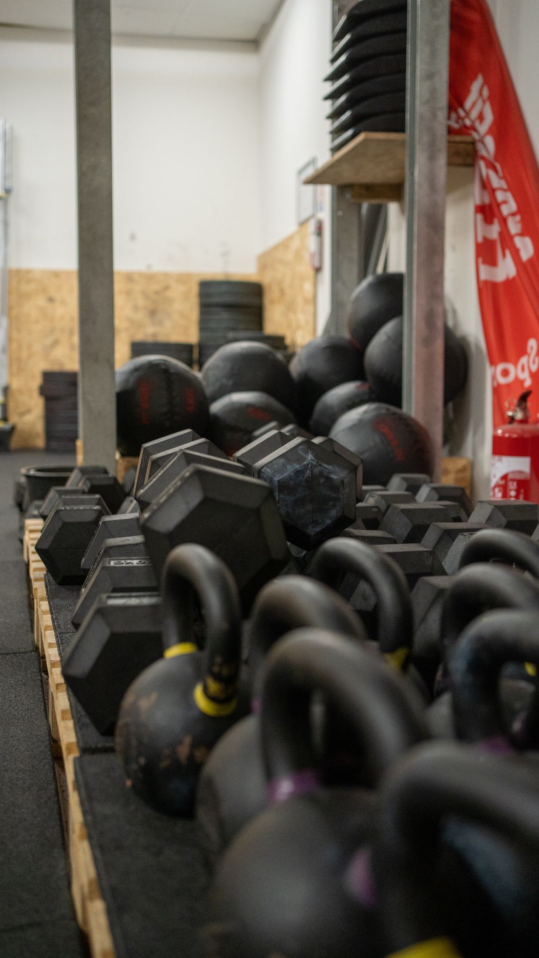 Poids haltères avec dumbbell et kettlebell